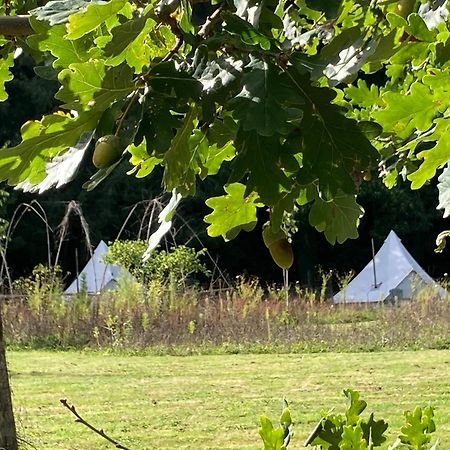 Au Pre Fleuri Eco Glamping Hotell Le Lindois Exteriör bild