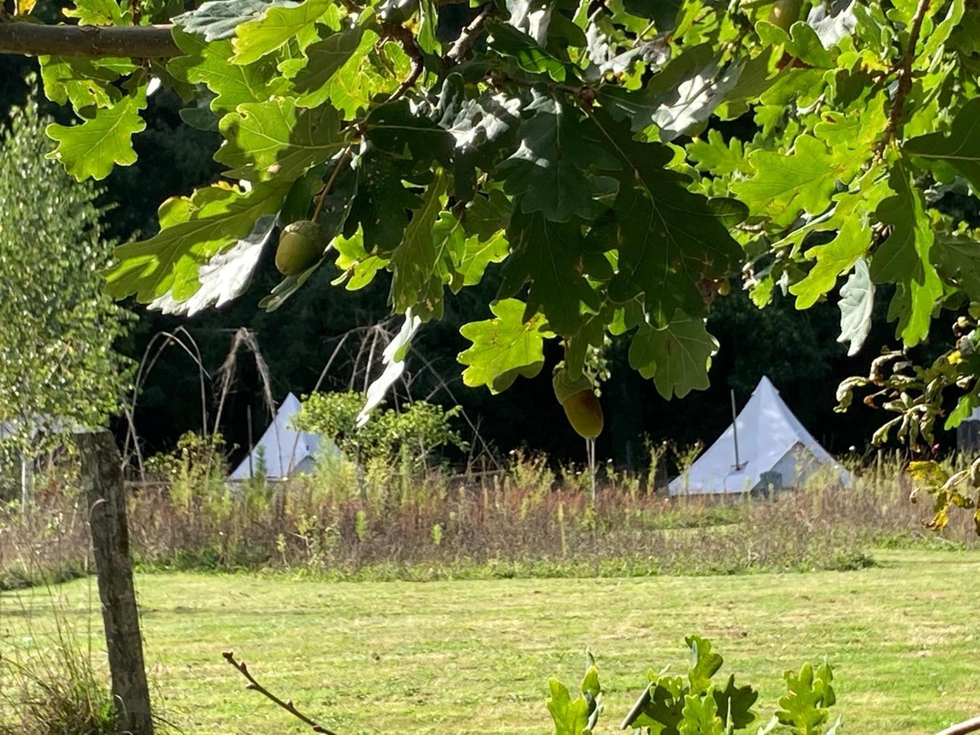 Au Pre Fleuri Eco Glamping Hotell Le Lindois Exteriör bild